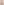 The Mid Rise Bikini Brief - Bare 01